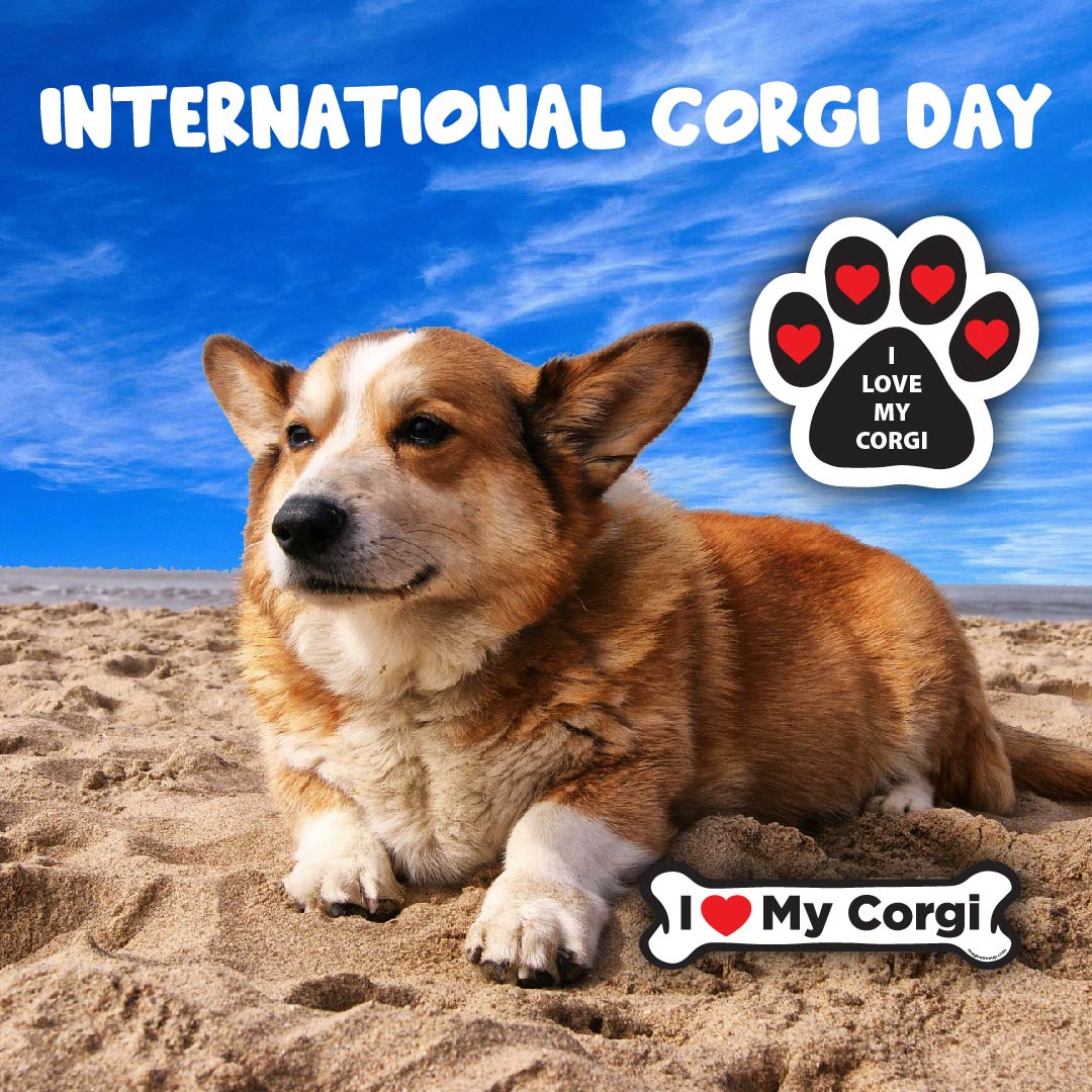 International Day