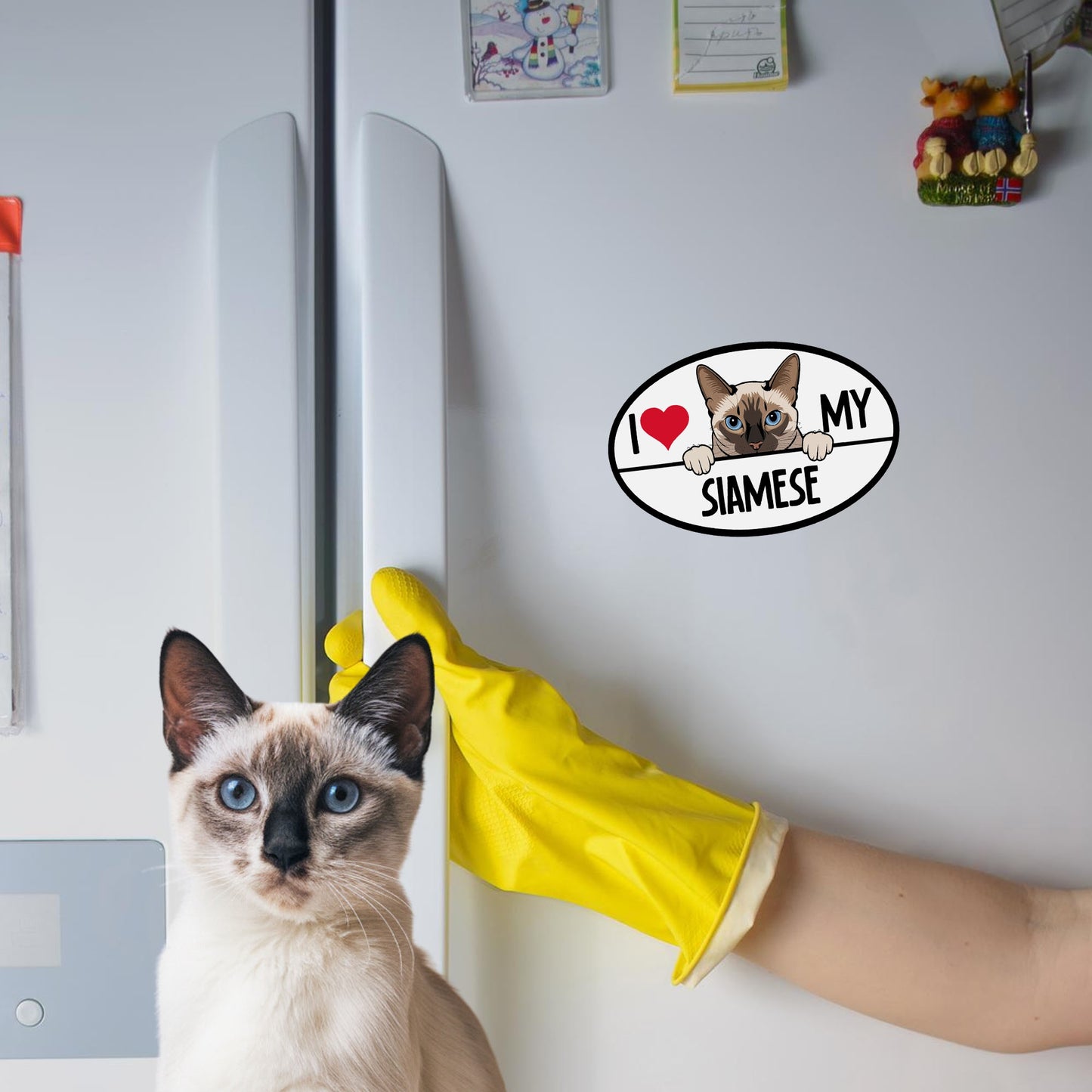 Magnet Me Up I Love My Siamese Cat Breed Car Magnet Decal, 4x6 Inches, Cute Peeking Cat Design Bumper Magnet, Feline Car Decal