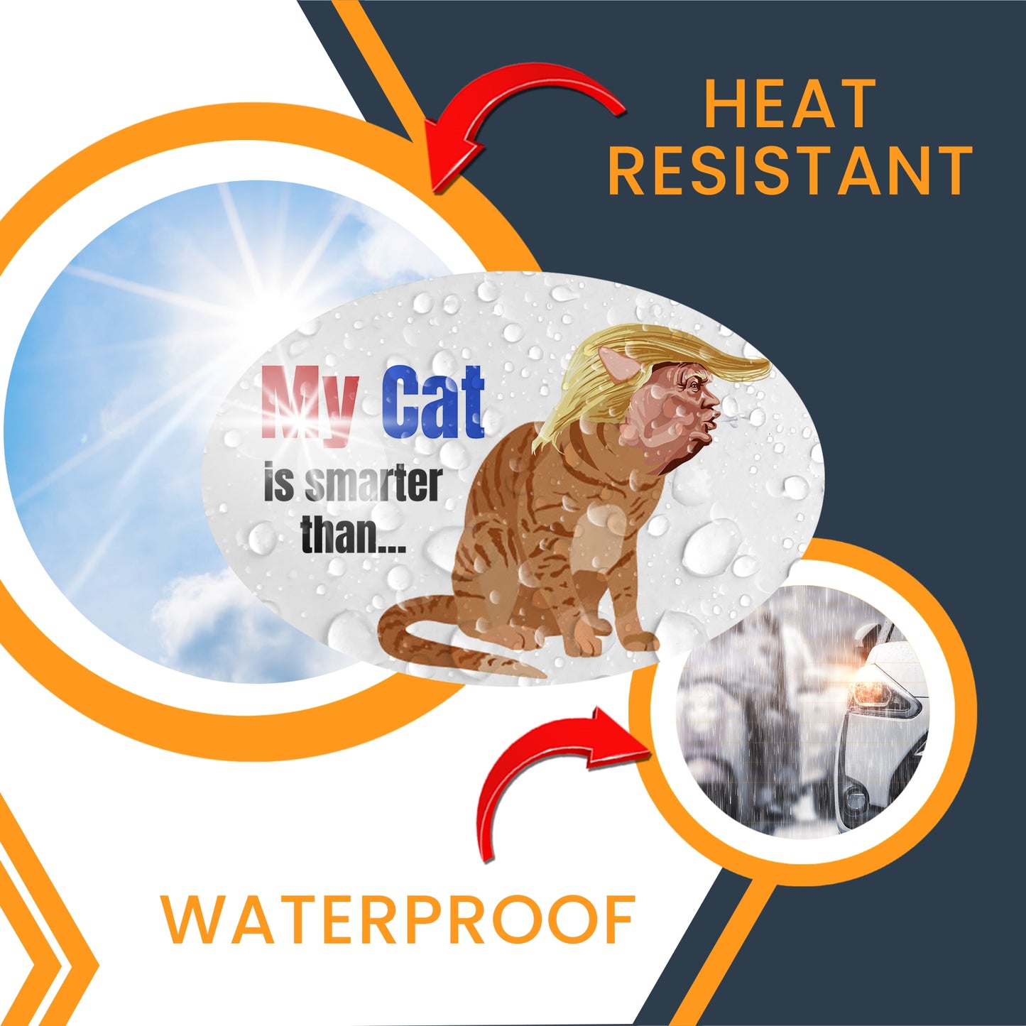 Magnet Me Up My Cat is Smarter Than The President Funny Car Magnet Decal, 4x6 Inches Oval, Humorous Cat Lover Bumper Magnet for Cars