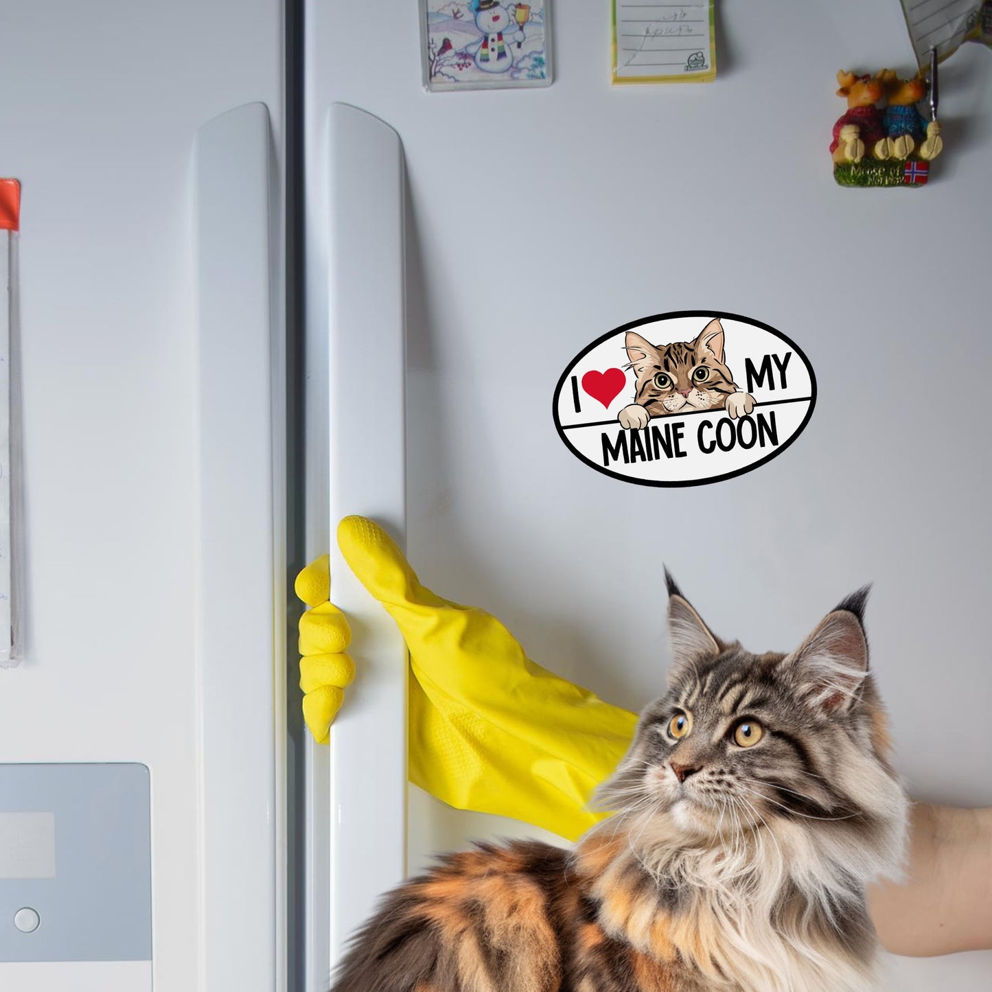 Magnet Me Up I Love My Maine Coon Cat Breed Car Magnet Decal, 4x6 Inches, Cute Peeking Cat Bumper Magnet, Car, Fridge, Charming and Eye Catching