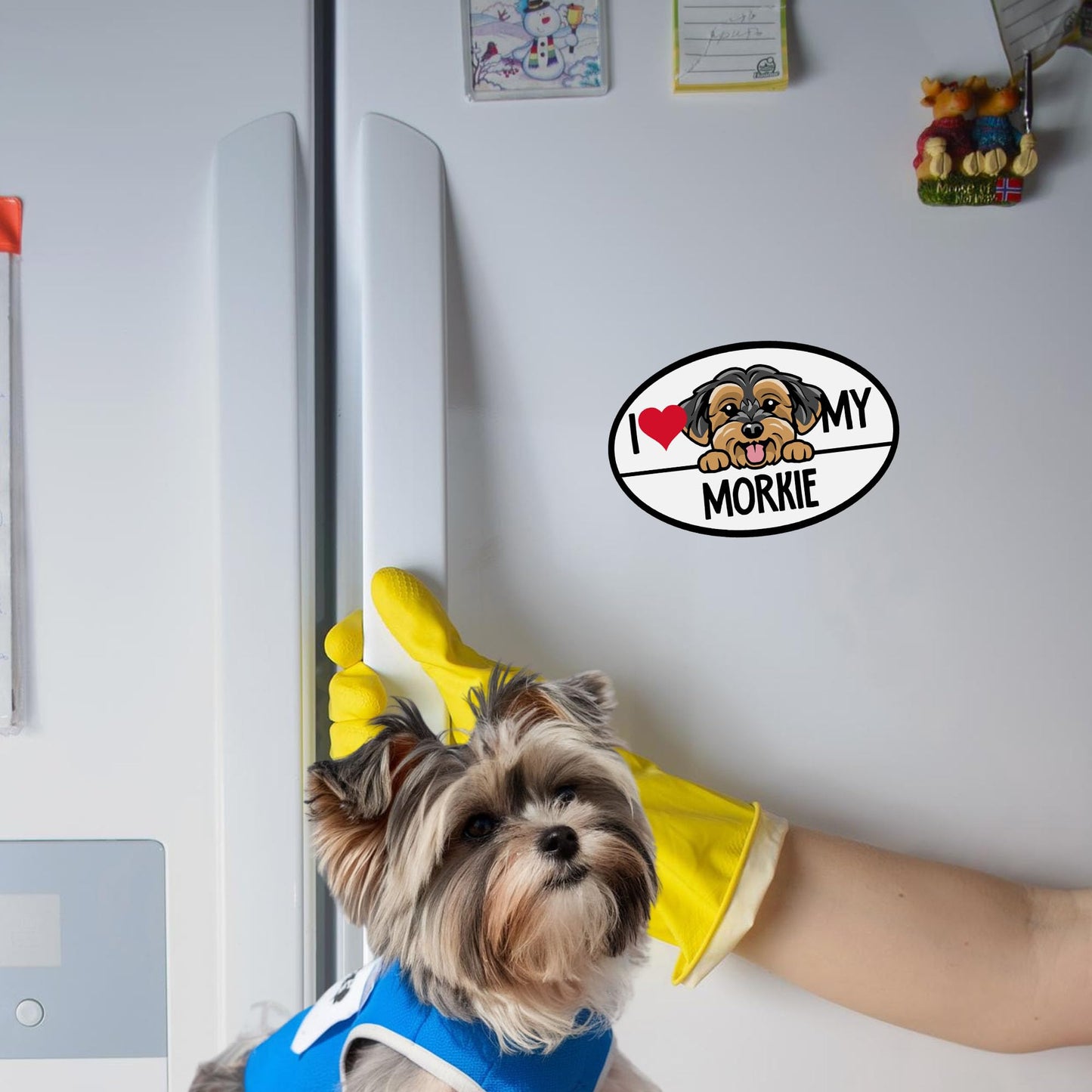 Magnet Me Up I Love My Morkie Dog Breed Magnet Decal, 4x6 Inches Oval, Cute Car Accessory for Morkie Lovers, Cute Peeking Dog Bumper Magnet