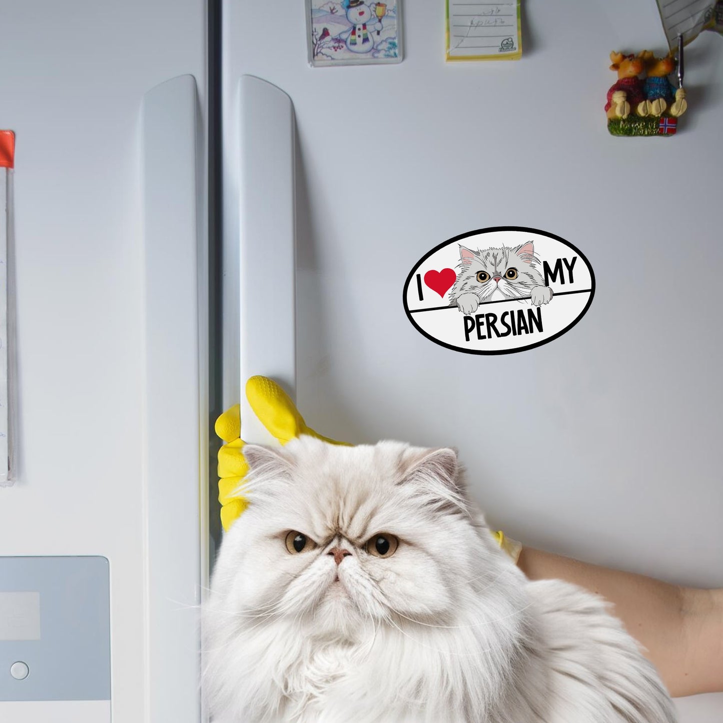 Magnet Me Up I Love My Persian Cat Breed Car Magnet Decal, 4x6 Inches, Cute Peeking Cat Design Bumper Magnet, Loving Companions