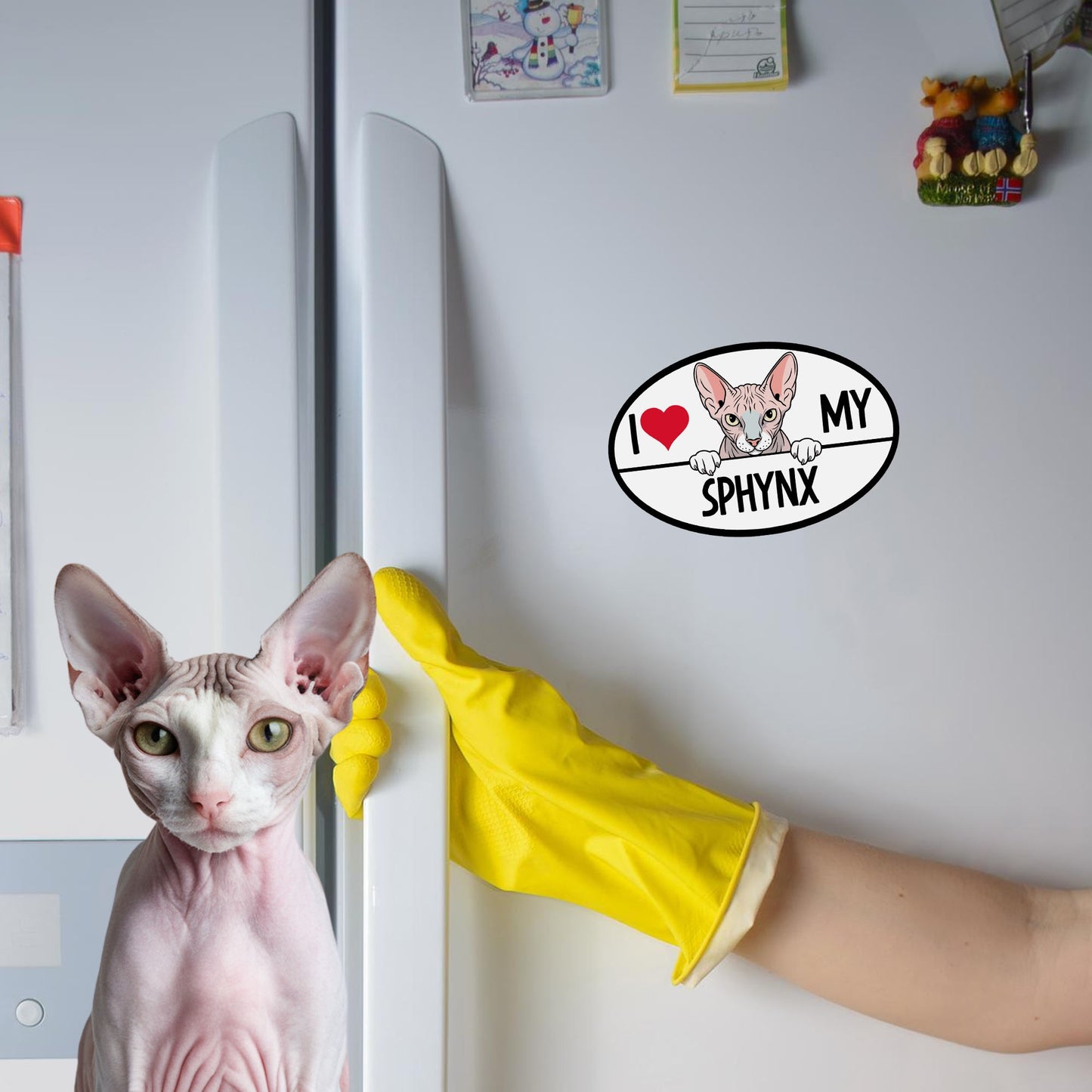 Magnet Me Up I Love My Sphynx Cat Breed Car Magnet Decal, 4x6 Inches, Cute Peeking Cat Bumper Magnet, Feline Car Decal, Pet Lover Gifts