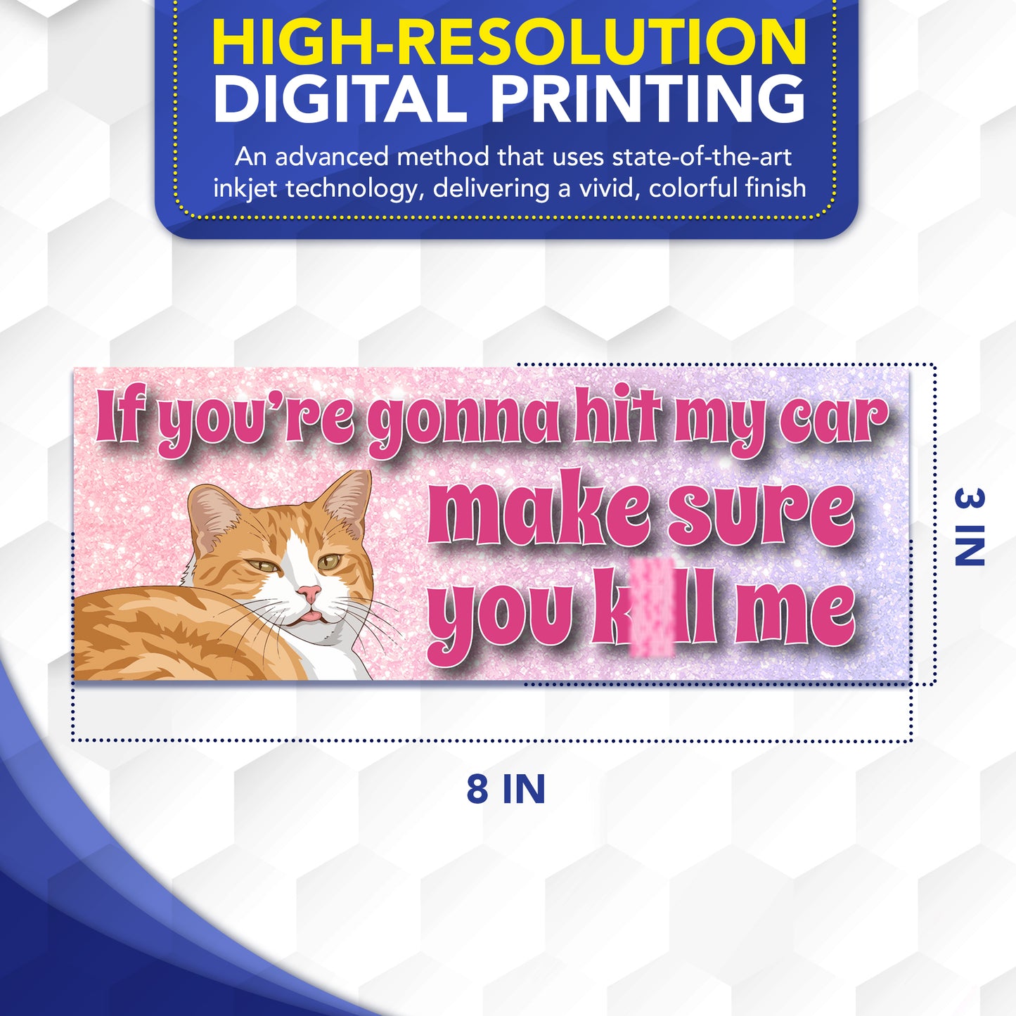 Magnet Me Up If You're Gonna Hit My Car Funny Cat Magnet, 3x8, 2 Pack