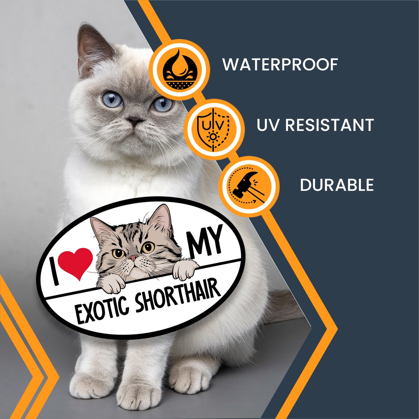 Magnet Me Up I Love My Exotic Shorthair Cat Breed Car Magnet Decal, 4x6 Inches, Cute Peeking Cat Bumper Magnet, Feline, Pet Lover Gifts