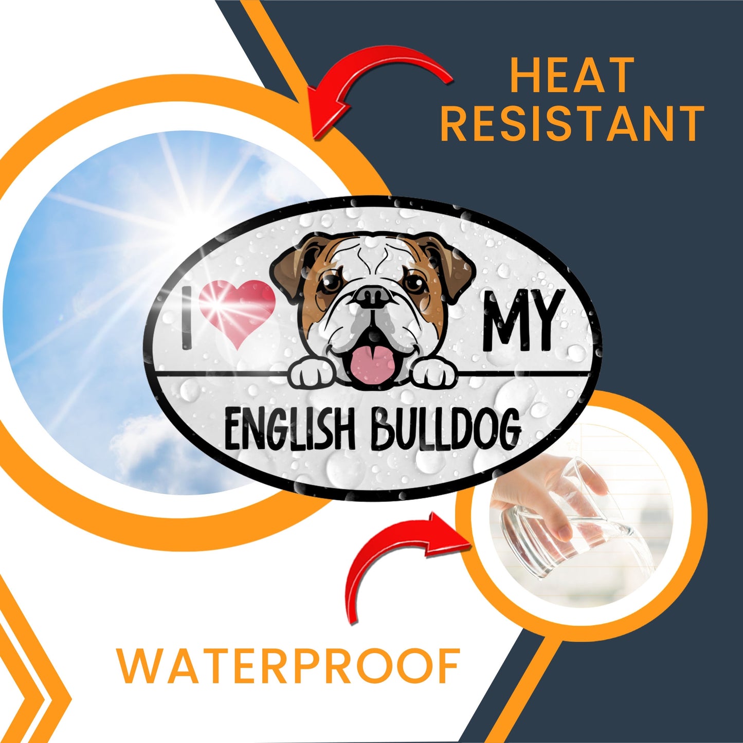 I Love My English Bulldog Dog Breed Car Magnet Decal, 4x6 Inches Oval, Decoration for Vehicle, Fridge, and More! Cute Peeking Dog Bumper Magnet