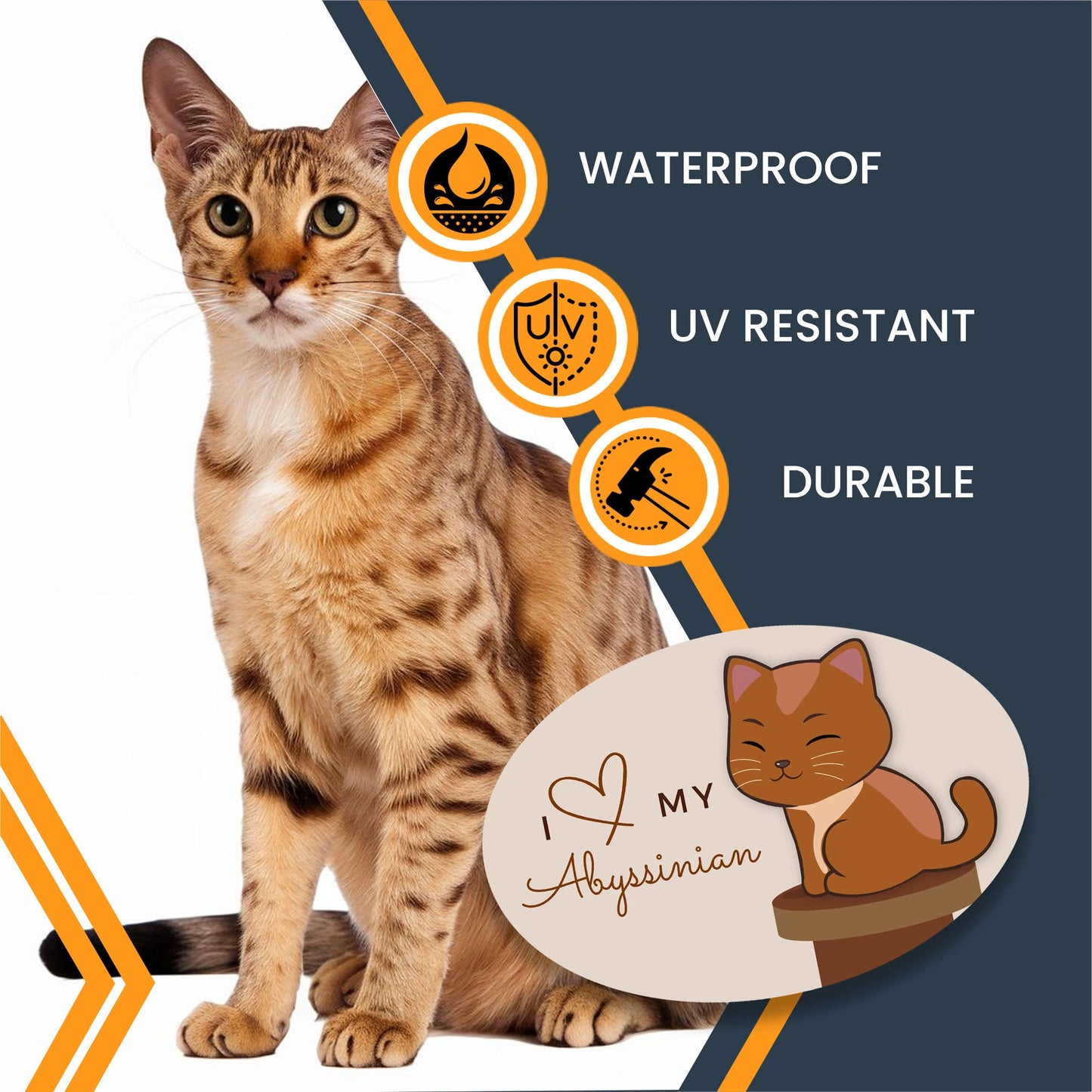 Magnet Me Up I Love My Abyssinian Cute Cat Breed Car Magnet Decal, 4x6 Inches, Hairless, Collectible Souvenir Gifts, Cat Enthusiasts, Bumper Magnet