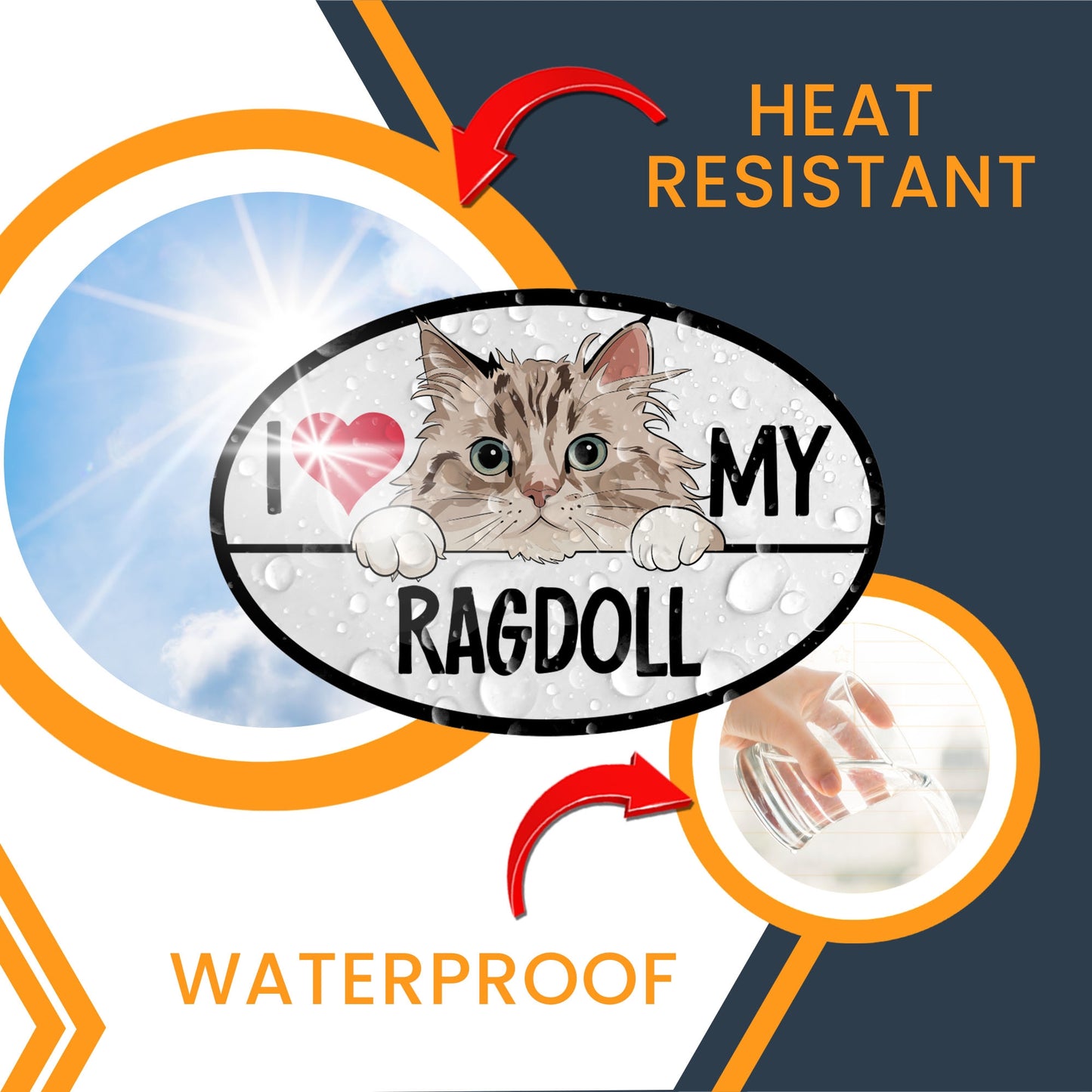 Magnet Me Up I Love My Ragdoll Cat Breed Car Magnet Decal, 4x6 Inches, Cute Peeking Cat Bumper Magnet, Calm and Quite Breed, Cuddliest Feline