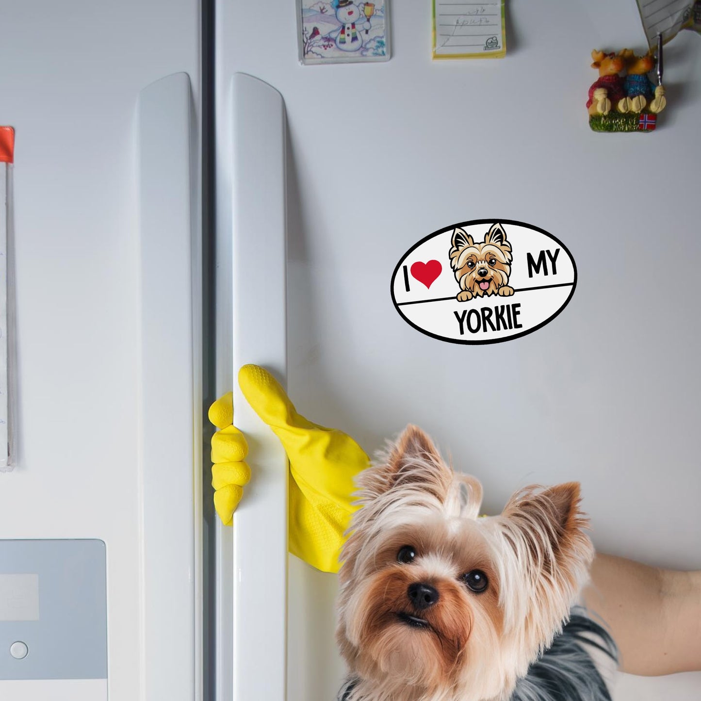 Magnet Me Up I Love My Yorkie Dog Breed Car Magnet Decal, 4x6 Inches Oval, Adorable Decoration for Vehicle, Fridge, and More! Bumper Magnet