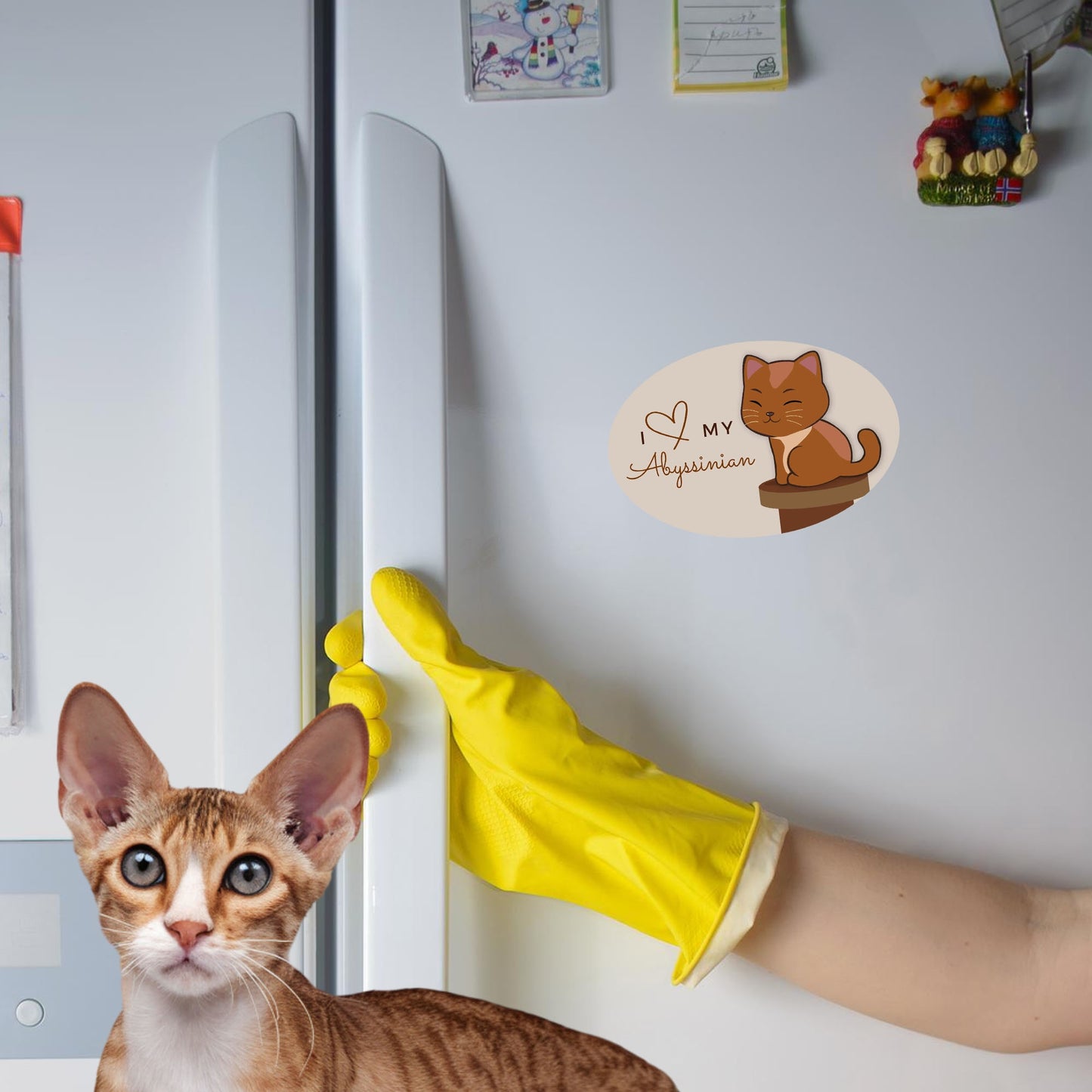 Magnet Me Up I Love My Abyssinian Cute Cat Breed Car Magnet Decal, 4x6 Inches, Hairless, Collectible Souvenir Gifts, Cat Enthusiasts, Bumper Magnet