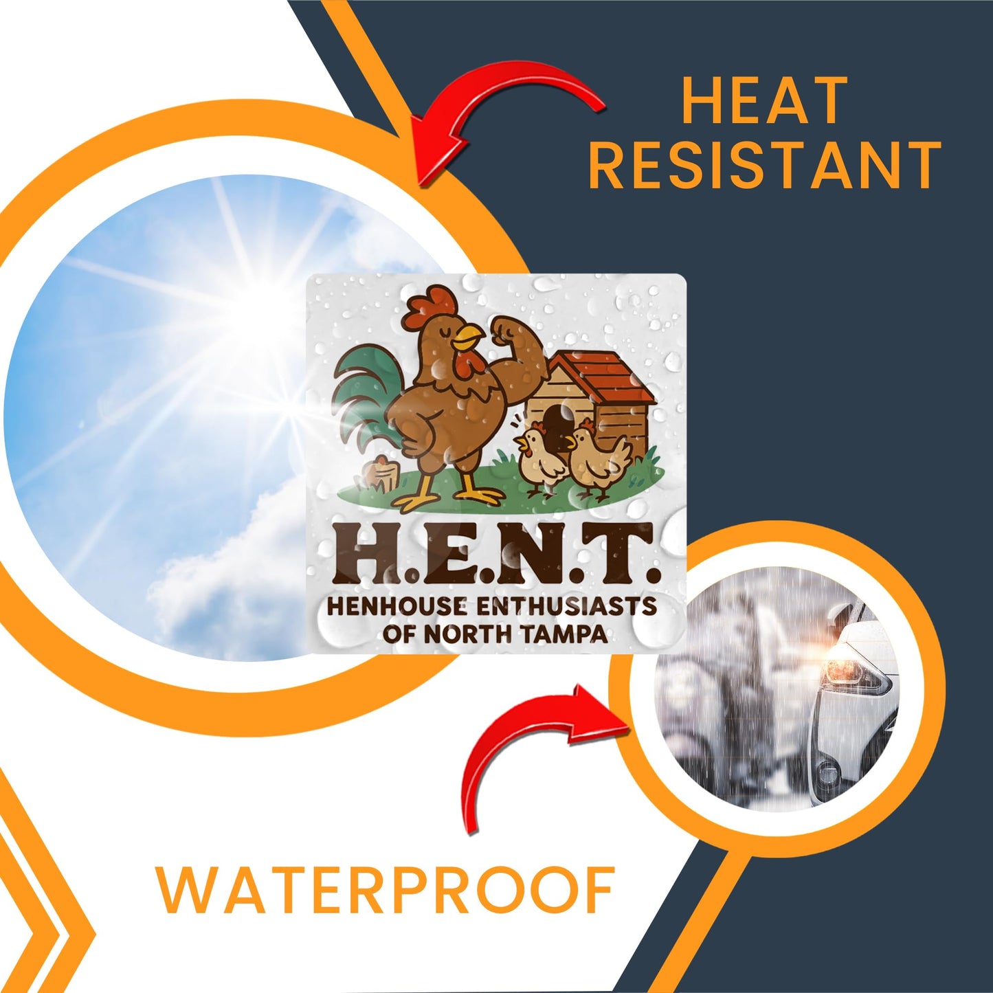Magnet Me Up H.E.N.T. Henhouse Enthusiasts of North Tampa Magnet - 5" Funny Car Magnet for Adults, Hilarious Chicken-Themed Gag Gift, Durable UV Vinyl - Made in USA