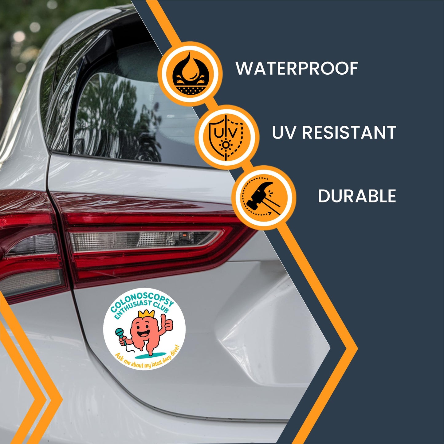 Magnet Me Up Colonoscopy Enthusiast Club Magnetic Decal, Ask Me About My Latest Dive- 5" Round Funny Automotive Magnet, Hilarious Medical Gag Gift, Full-Color Vinyl Magnet, Made in The USA