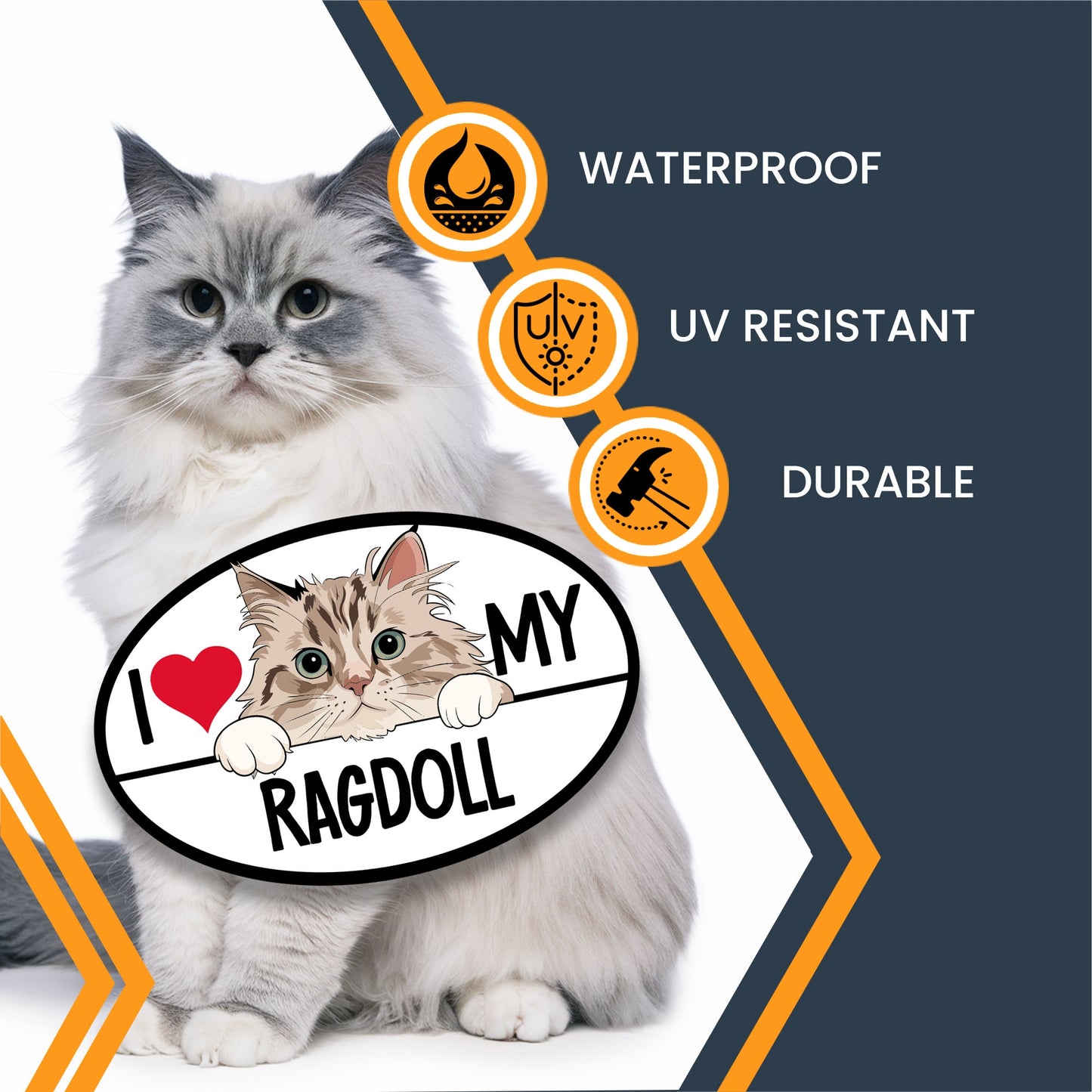 Magnet Me Up I Love My Ragdoll Cat Breed Car Magnet Decal, 4x6 Inches, Cute Peeking Cat Bumper Magnet, Calm and Quite Breed, Cuddliest Feline