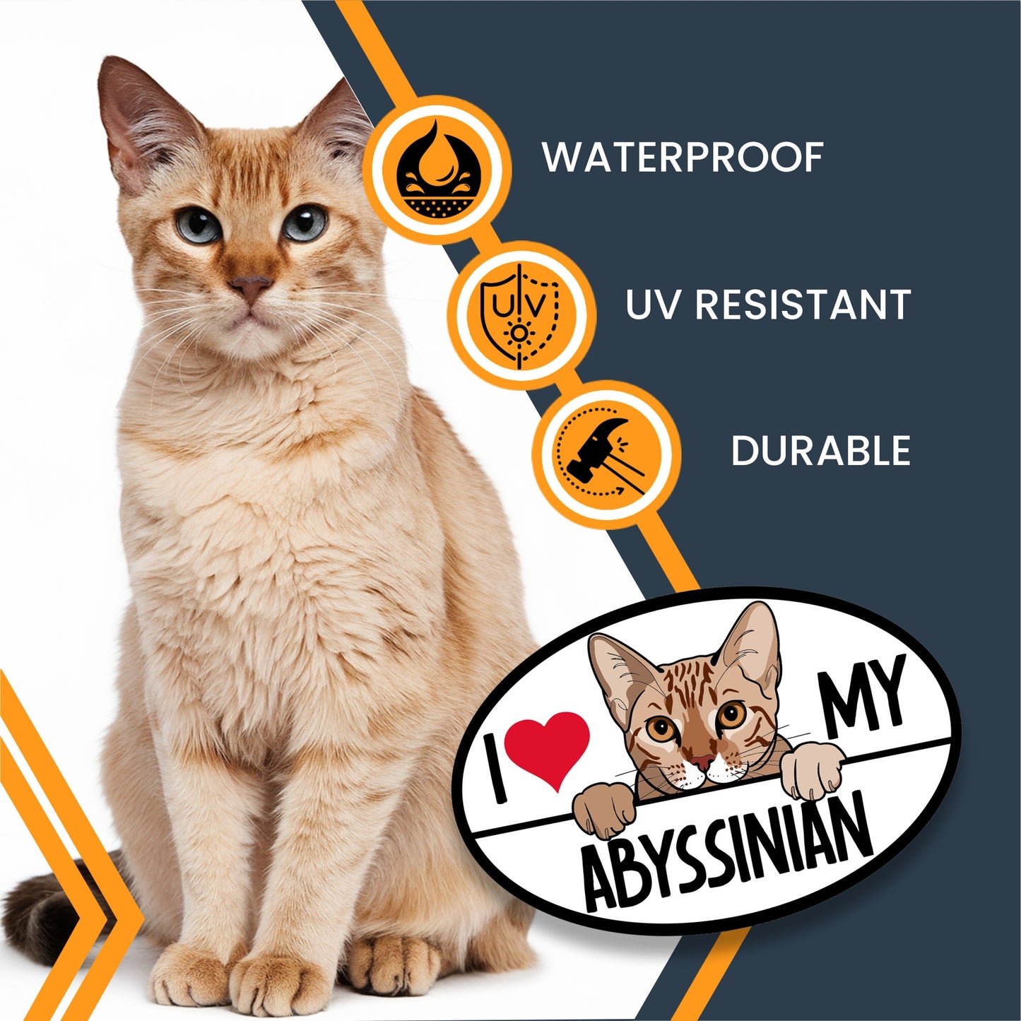 Magnet Me Up I Love My Abyssinian Cat Breed Car Magnet Decal, 4x6 Inches, Cute Peeking Cat Design Bumper Magnet, Feline Car Decal, Pet Lover Gifts