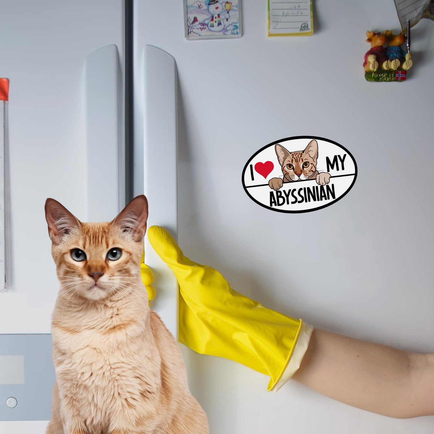 Magnet Me Up I Love My Abyssinian Cat Breed Car Magnet Decal, 4x6 Inches, Cute Peeking Cat Design Bumper Magnet, Feline Car Decal, Pet Lover Gifts