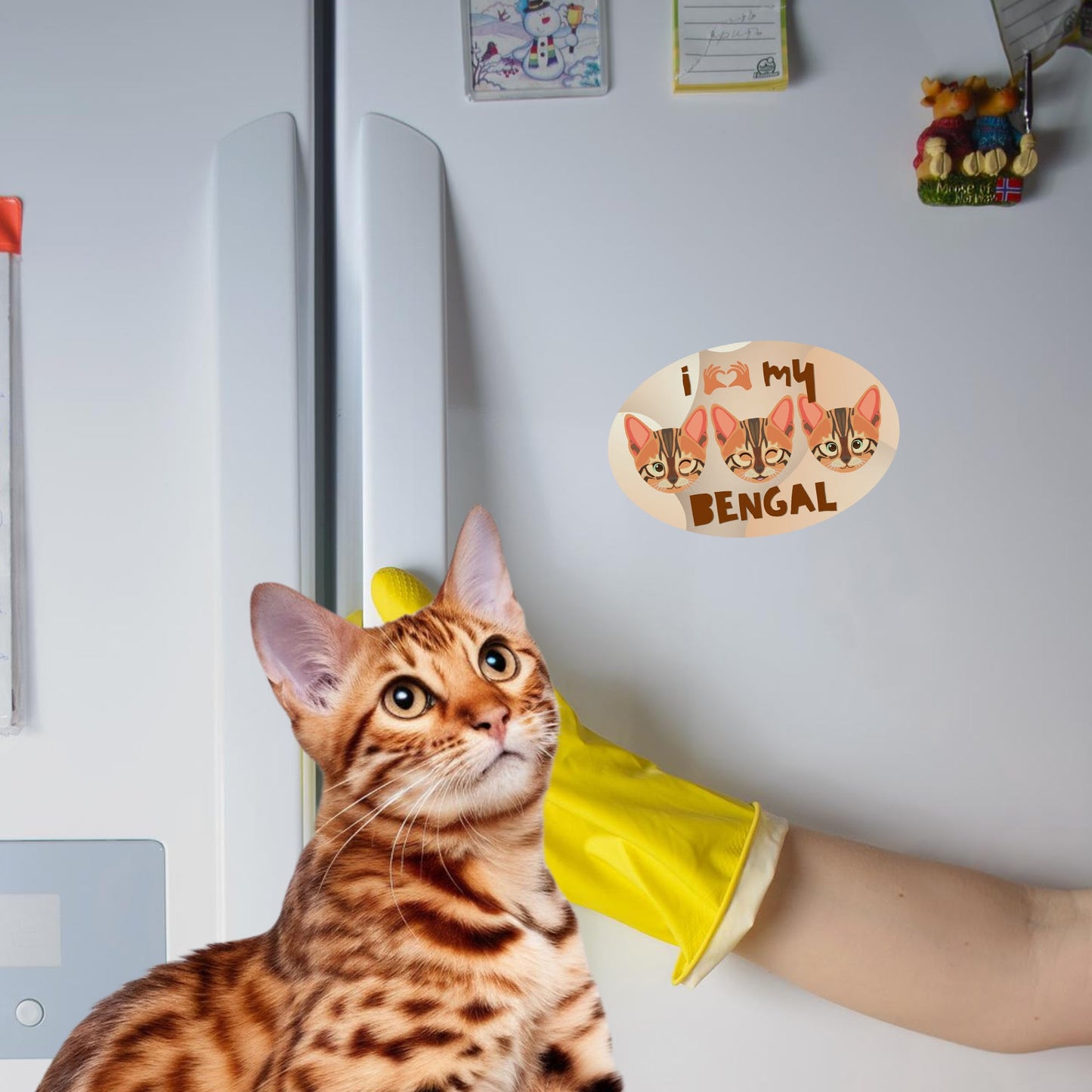 Magnet Me Up I Love My Bengal Cat Breed Car Magnet Decal, 4x6 Inches, Stylish Design Bumper Magnet, Feline Car Decal, Pet Lover Gifts, Crafted in USA