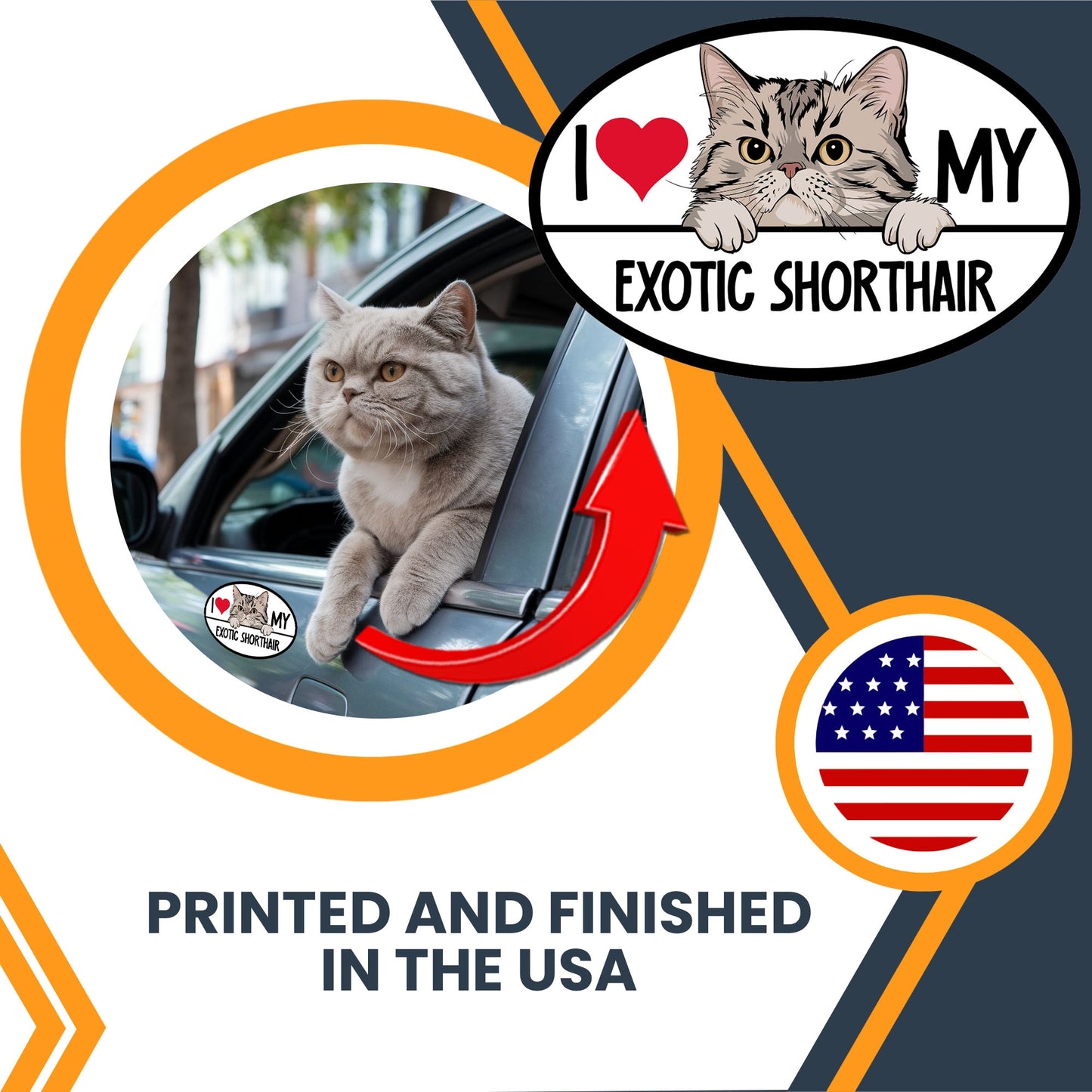 Magnet Me Up I Love My Exotic Shorthair Cat Breed Car Magnet Decal, 4x6 Inches, Cute Peeking Cat Bumper Magnet, Feline, Pet Lover Gifts