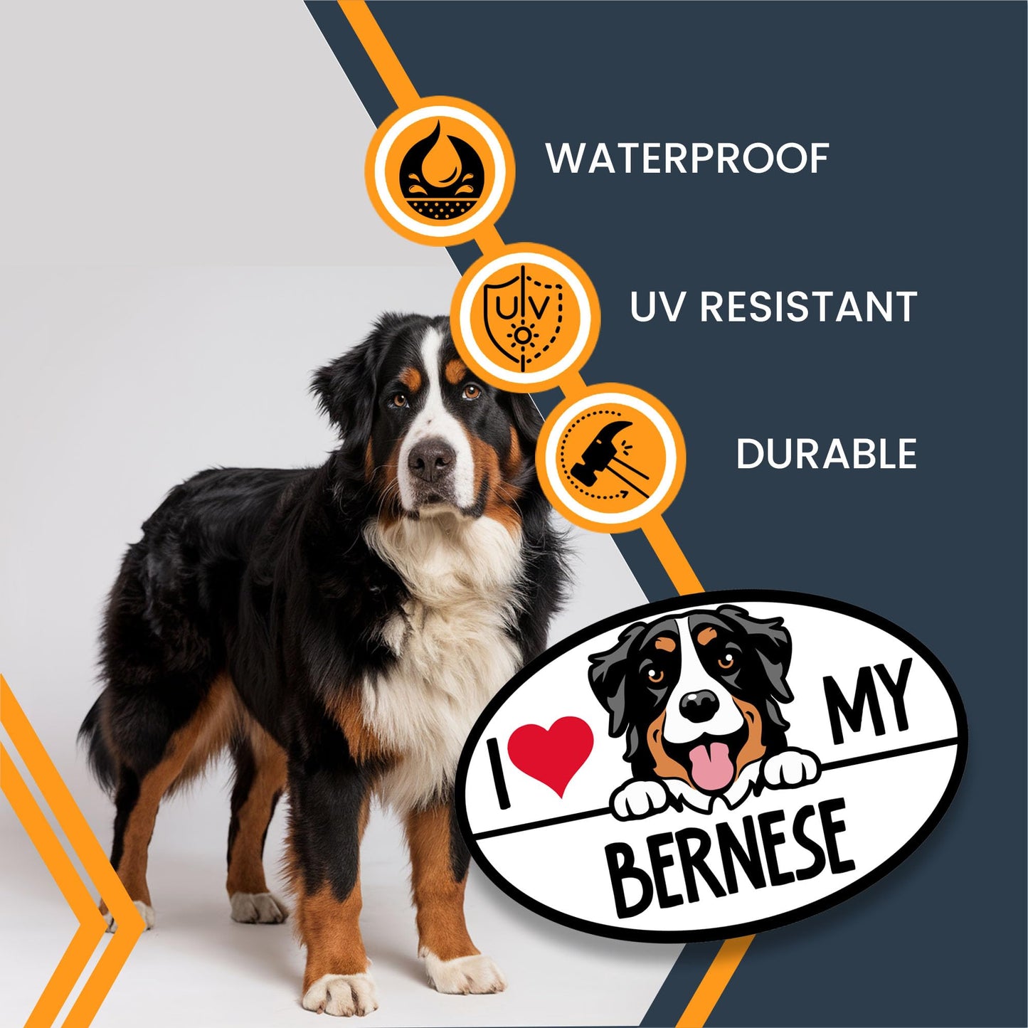 Magnet Me Up I Love My Bernese Dog Breed Car Magnet Decal, Mountain Dog Decorative Magnet, Friendly and Loyal Nature, Cute Peeking Dog
