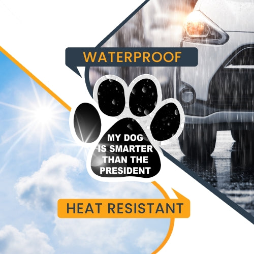 Magnet Me Up My Dog is Smarter Than The President Paw Print 2 Pack Magnets for Autro or Truck