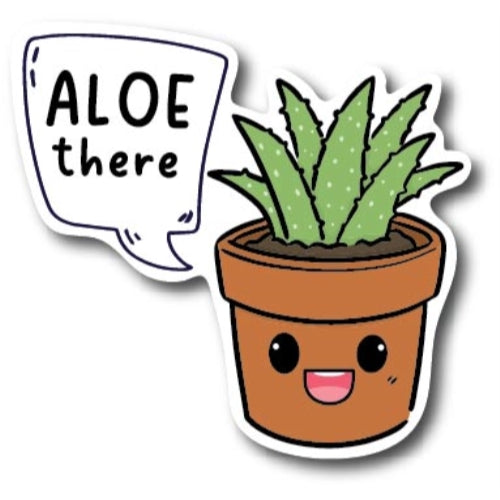 succulent car decal Magnet Me Up Aloe There Cute Funny Plant Succulent Magnet Decal, 5 inc – Magnetmeup