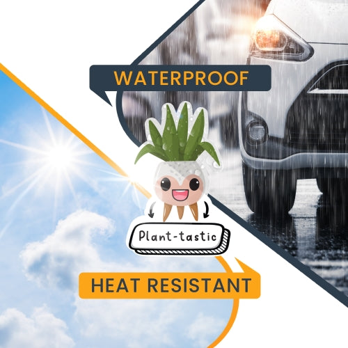 Magnet Me Up Plant-Tastic Cute Funny Plant Succulent Magnet Decal, 5 inches, Heavy Duty Automotive Magnet for Car Truck SUV Or Any Other Magnetic Surface
