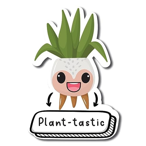succulent car decal Magnet Me Up Plant-Tastic Cute Funny Plant Succulent Magnet Decal, 5 inches, Heavy Duty Automotive Magnet For Car Truck SUV Or A