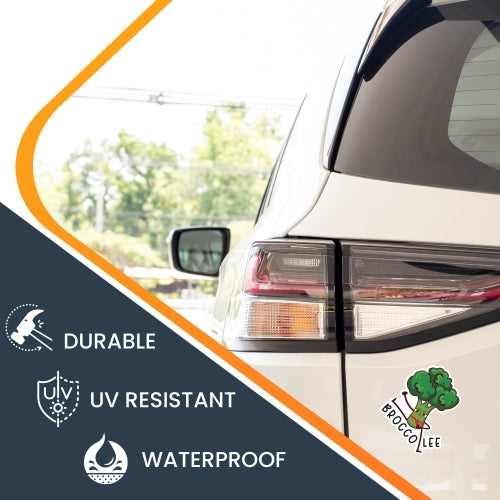 Magnet Me Up Brocco-Lee Cute Funny Plant Succulent Magnet Decal, 5 inches, Heavy Duty Automotive Magnet for Car Truck SUV Or Any Other Magnetic Surface