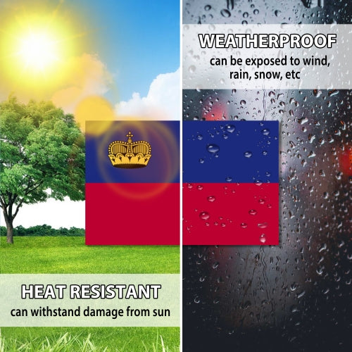 Liechtenstein Flag Car Magnet Decal - 4 x 6 Heavy Duty for Car Truck SUV …