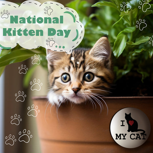 national kitten day