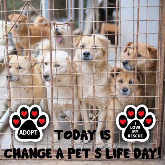 National Save a Pet's Life Day