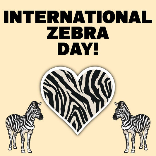 Yesterday was International Zebra Day!