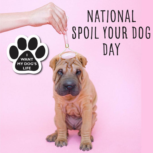 Spoil Your Dog Day