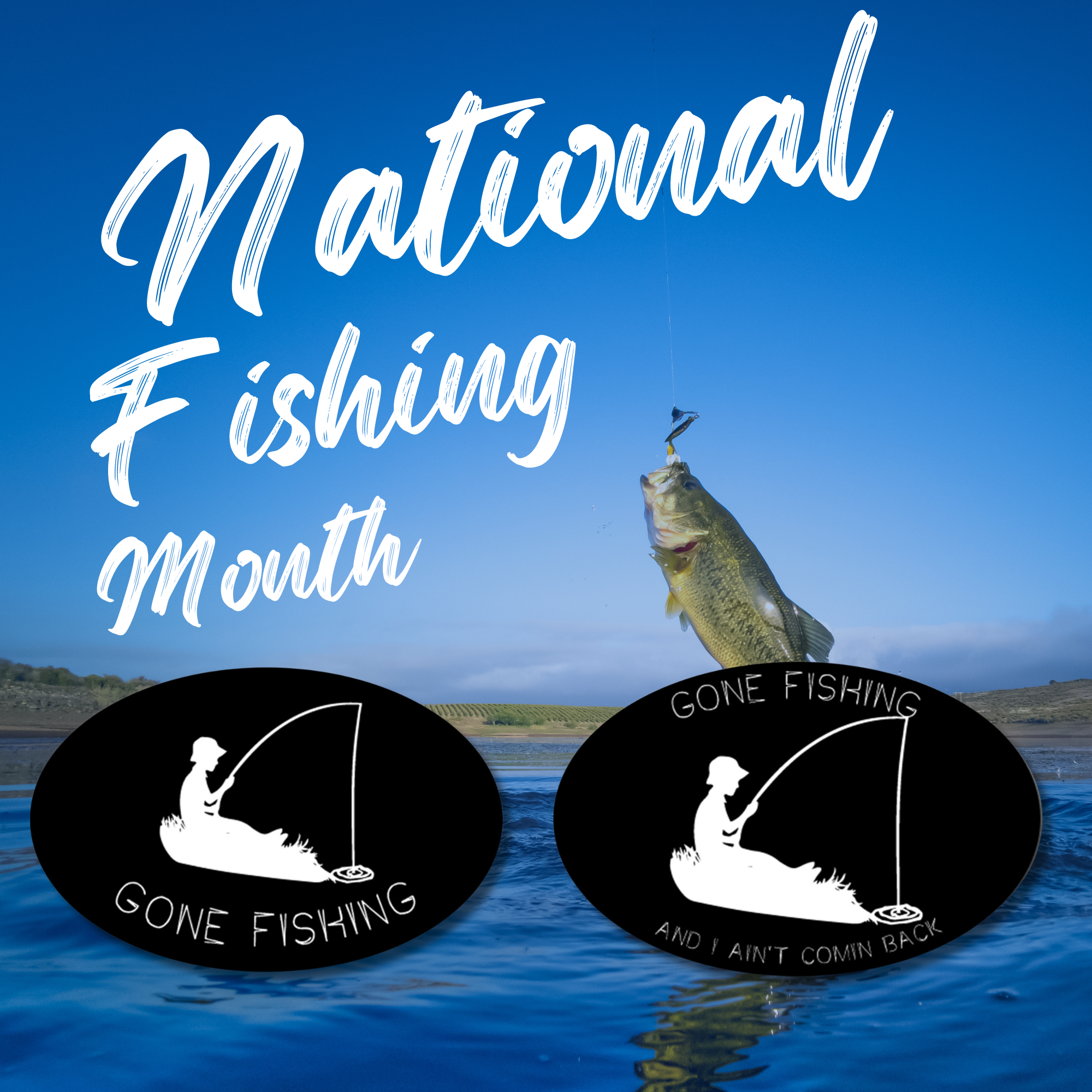 National Fishing Month – Magnetmeup