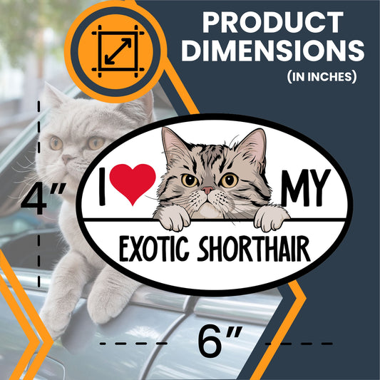 Magnet Me Up I Love My Exotic Shorthair Cat Breed Car Magnet Decal, 4x6 Inches, Cute Peeking Cat Bumper Magnet, Feline, Pet Lover Gifts