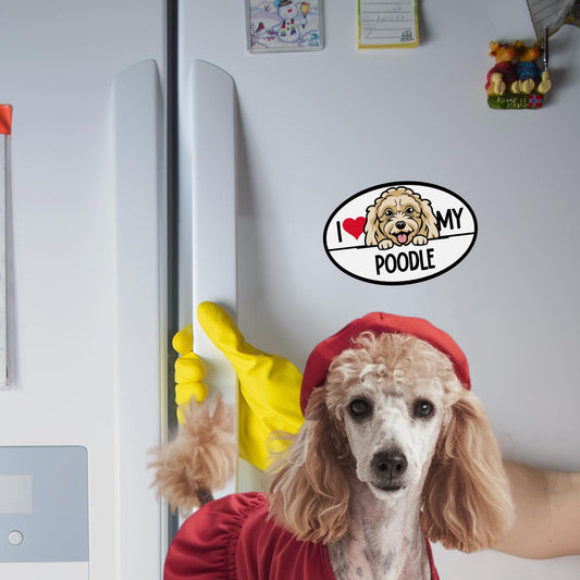 I Love My Poodle Dog Breed Car Magnet Decal, 4x6 Inches Oval, Fun and Unique Design to Celebrate Your Furry Friend on The Go, Cute Peeking Dog