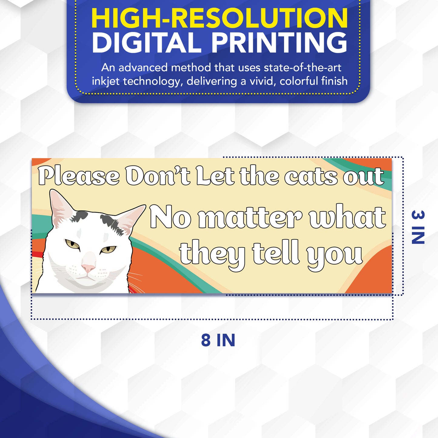 Magnet Me Up Please Don't Let The Cats Out Funny Car, 3x8 Inch, 2 Pack