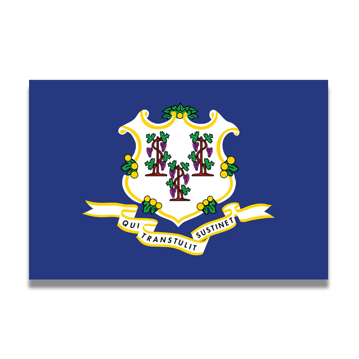 Magnet Me Up Connecticut Car Magnet Decal  US State Flag 4x6 Refrigerator Locker