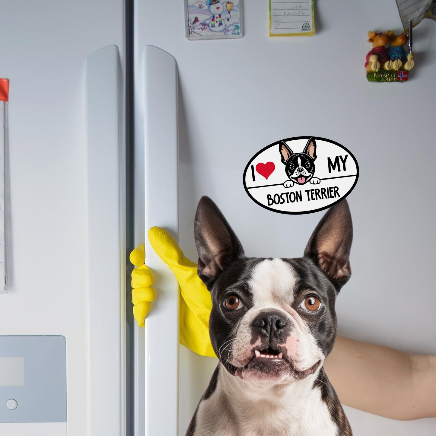 Magnet Me Up I Love My Boston Terrier Dog Breed Car Magnet Decal, 4x6 Inches Oval, Adorable Decoration for Vehicle, Fridge, and More!