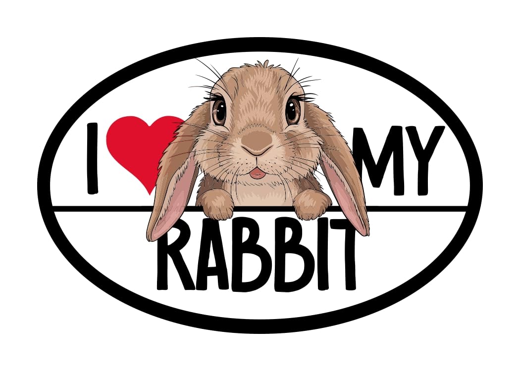 Magnet Me Up I Love My Rabbit Car Magnet Decal, 4x6 Inches, Charming Farm Animals, Fun Accessory for Rabbit Lovers, Souvenir Gifts, Fridge, Lockers, Bumper Magnet, Whimsical Design, Crafted in USA