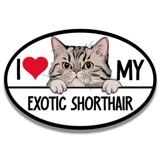Magnet Me Up I Love My Exotic Shorthair Cat Breed Car Magnet Decal, 4x6 Inches, Cute Peeking Cat Bumper Magnet, Feline, Pet Lover Gifts