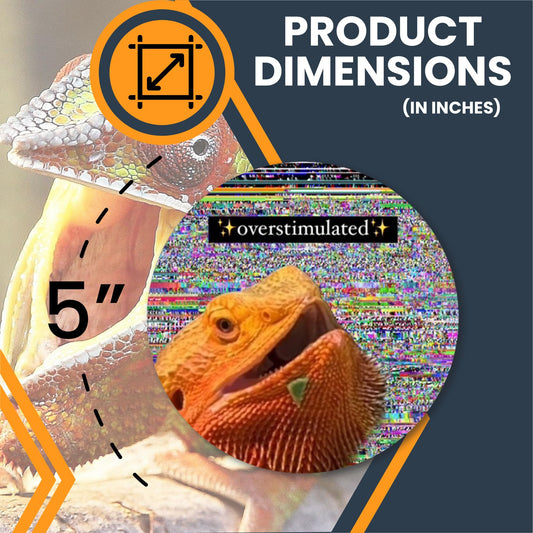 Magnet Me Up WHOSAGOODLIZARD 5" Round Funny Overstimulated Lizard Magnet - Sparkle Glitch Background Meme Design - Car Fridge Locker Magnetic Decal - UV Printed Vinyl, Souvenir Gifts, Made in USA