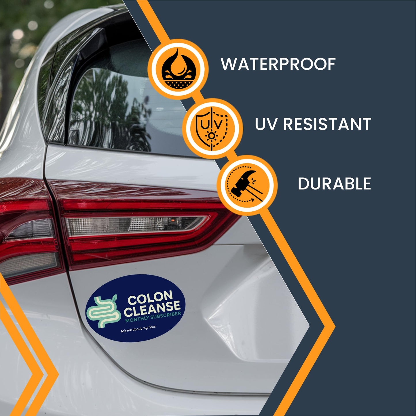 Magnet Me Up Colon Cleanse Monthly Subscriber Magnet - Funny Gag Gift, Bathroom Humor, 4?6 Oval Magnet Decal, UV Printed Vinyl, Durable & Weatherproof, Made in USA