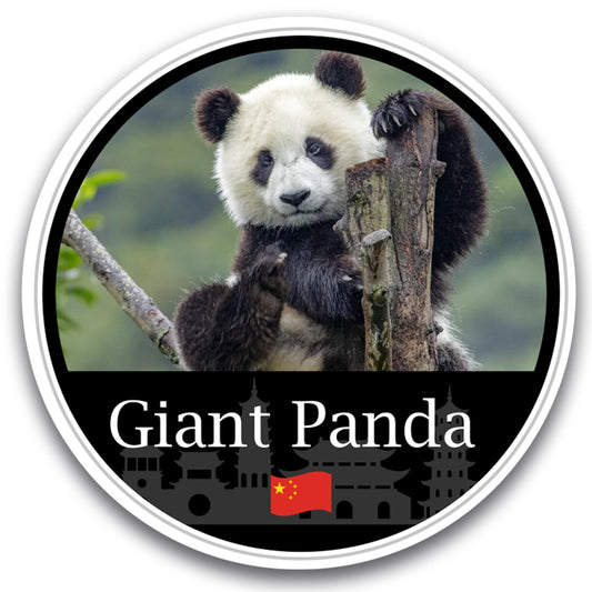 Magnet Me Up Giant Panda Magnet Decal - 5" Round, Full-Color Chinese Souvenir, Cute Panda Bear Design, Automotive Magnet for Car, Truck, Or Any Magnetic Surface, Made in The USA