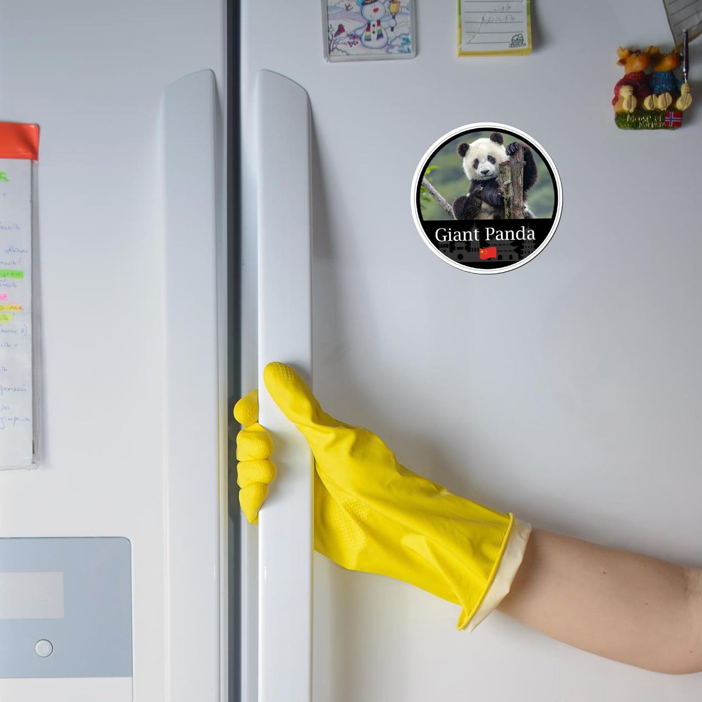 Magnet Me Up Giant Panda Magnet Decal - 5" Round, Full-Color Chinese Souvenir, Cute Panda Bear Design, Automotive Magnet for Car, Truck, Or Any Magnetic Surface, Made in The USA