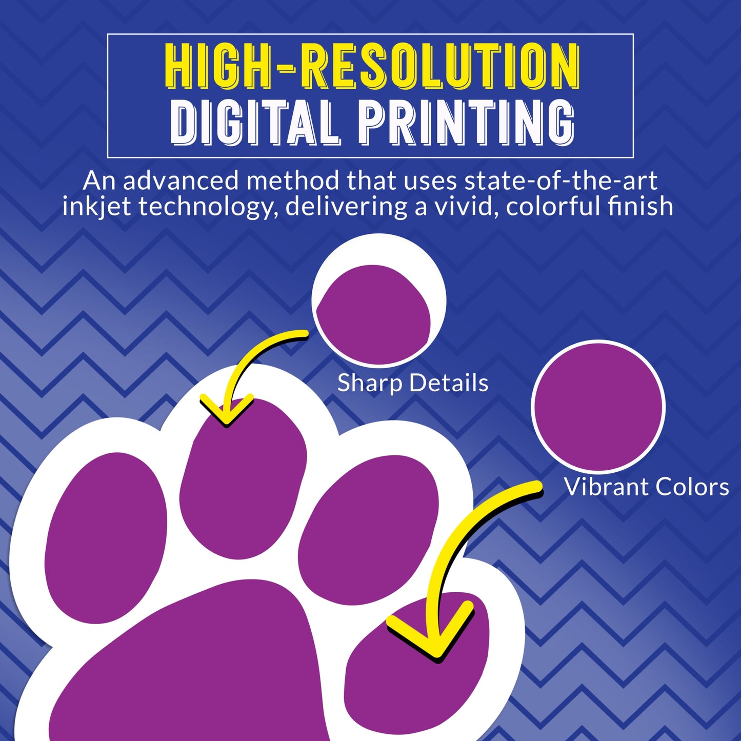 Magnet Me Up Paw Car Magnets- 5" 4 Pack Bright & Bold Paw Prints (Orange, Pink, Purple, Yellow) - Weatherproof Vinyl Magnetic Decals for Cars, Fridge, Locker, Gift for Dog & Animal Lovers, Made in USA