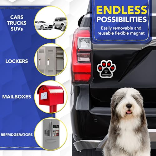 Magnet Me Up I Love My Bearded Collie Pawprint Shaped Car Magnet - 5 Inch Full-Color Magnetic Decal for Cars Trucks & SUV - Durable UV Vinyl, Weatherproof, Dog Lover Gift Made in The USA