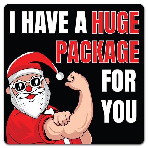 Magnet Me Up I Have a Huge Package for You Santa - 5 Inch Magnetic Decal, Funny Christmas Holiday Magnet for Cars, Trucks & SUV, Durable UV Vinyl, Weatherproof Full-Color, Made in The USA