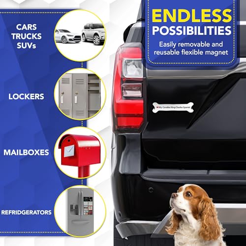 Magnet Me Up I Love My Cavalier King Charles Spaniel Bone Car Magnet 2x7 Inches - Durable UV Printed Magnetic Decal for Cars, Trucks & SUV, Dog Lover Gift, Made in The USA
