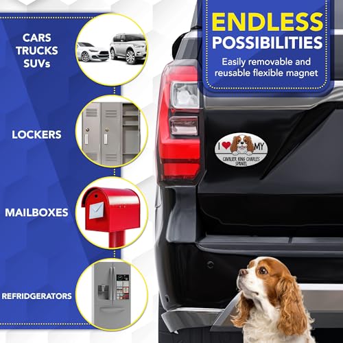 Magnet Me Up I Love My Cavalier King Charles Spaniel Car Magnet 4x6 Oval - Durable UV Printed Magnetic Decal for Cars, Trucks & SUV, Dog Lover Gift, Made in The USA
