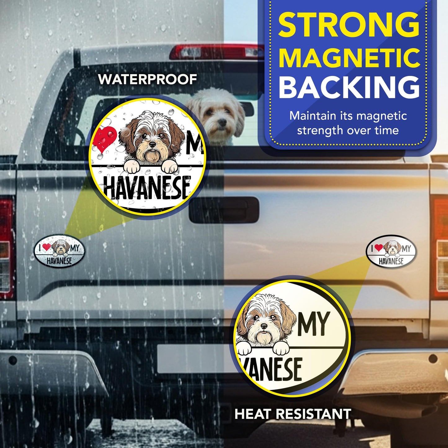 Magnet Me Up I Love My Havanese Oval-Shaped 4x6 Inches Car Magnet - Ideal Gift for Dog Lovers Accessory, Magnetic Decal for Cars & Trucks, Full-Color UV Printed Weatherproof Vinyl, Made in USA